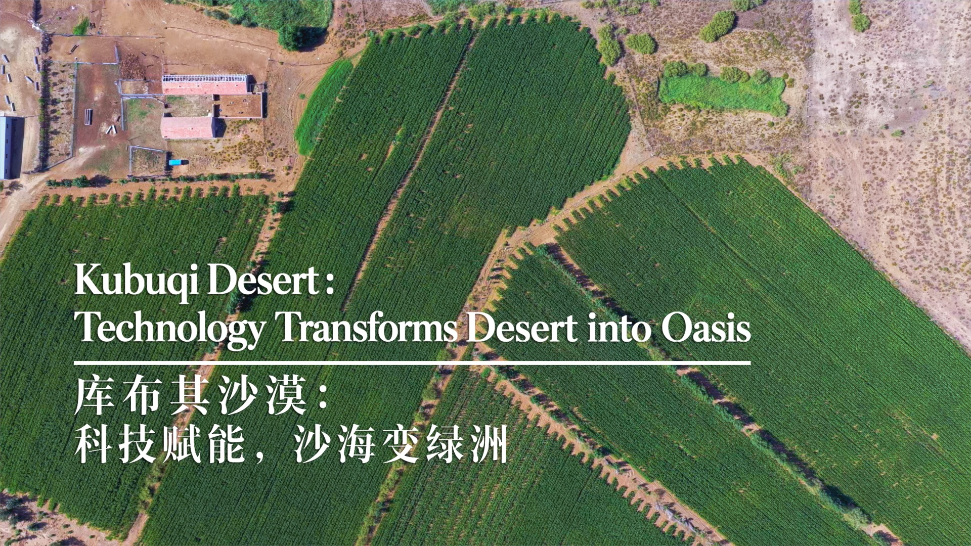 Kubuqi Desert: Technology transforms desert into oasis