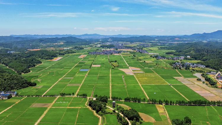CMG's Life among Mountains and Rivers explores Jiangxi