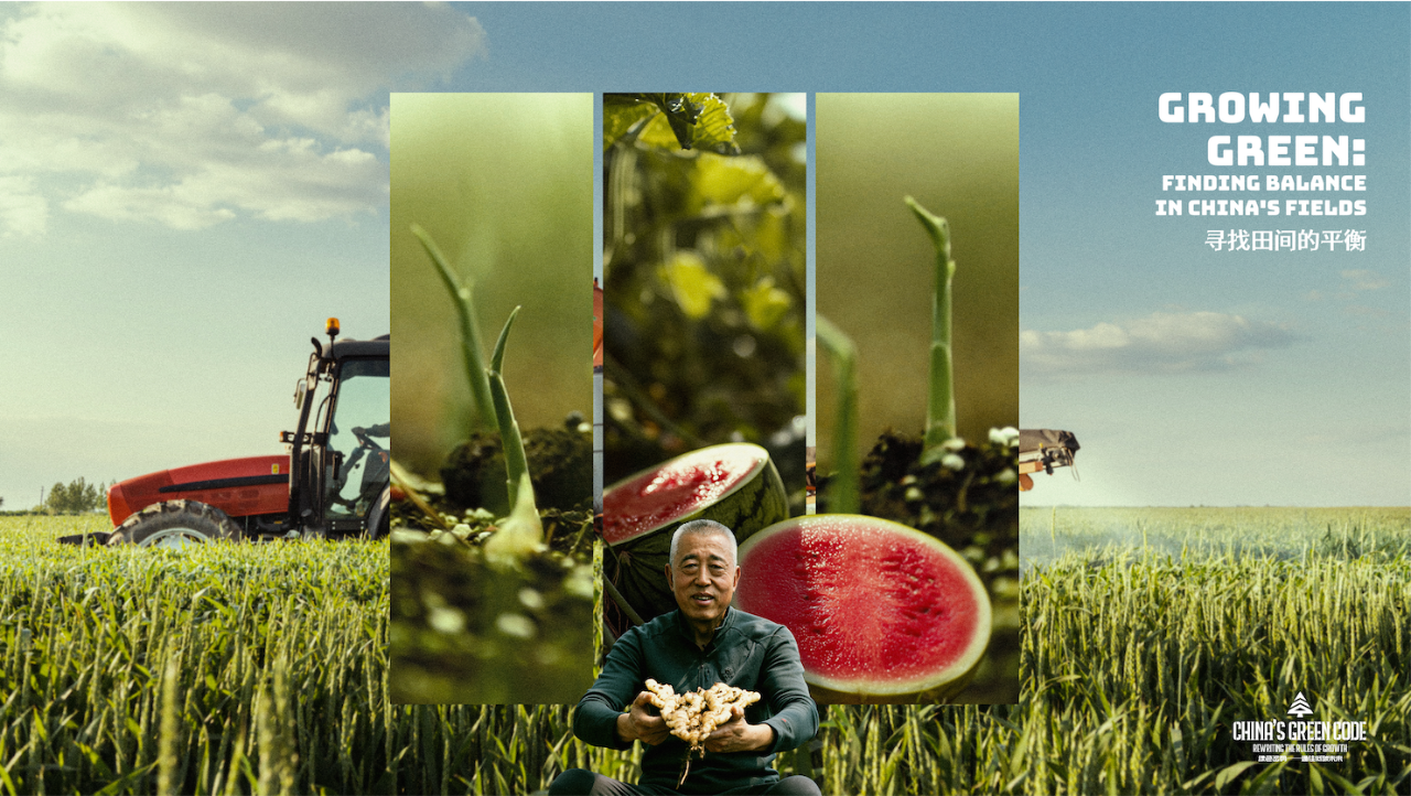 China's Green Code EP2 is out now: Growing Green