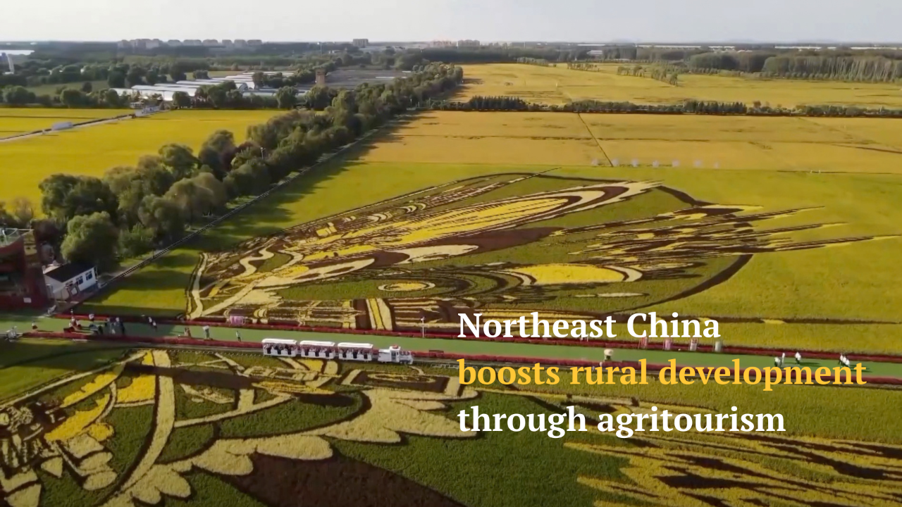 Northeast China boosts rural development through agritourism