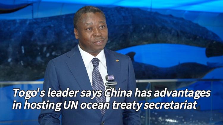 Togo: China has advantages in hosting ocean treaty secretariat