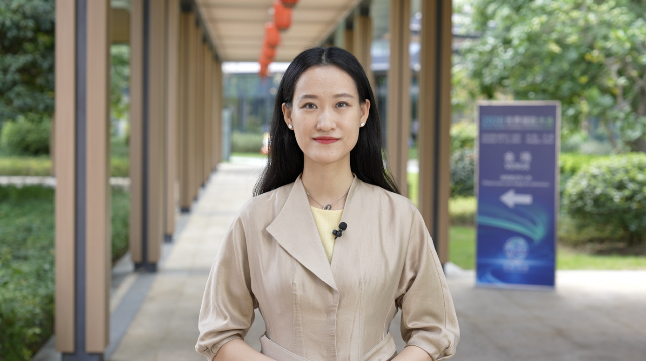 Why new energy storage needs international cooperation