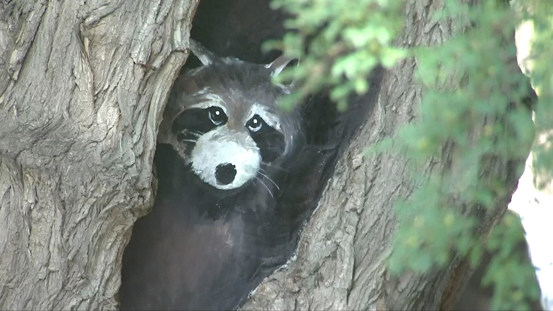 Creative paintings of cute animals showed up in tree holes in a park in