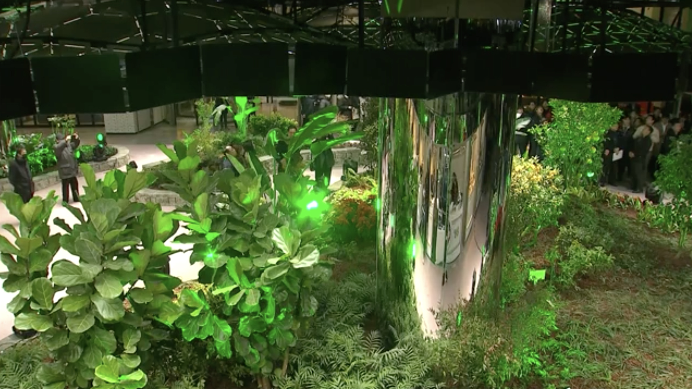 New Solar Powered Garden Opens In Seoul Subway Station Cgtn