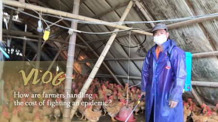 VLOG: How are farmers handling the cost of fighting an epidemic? - CGTN
