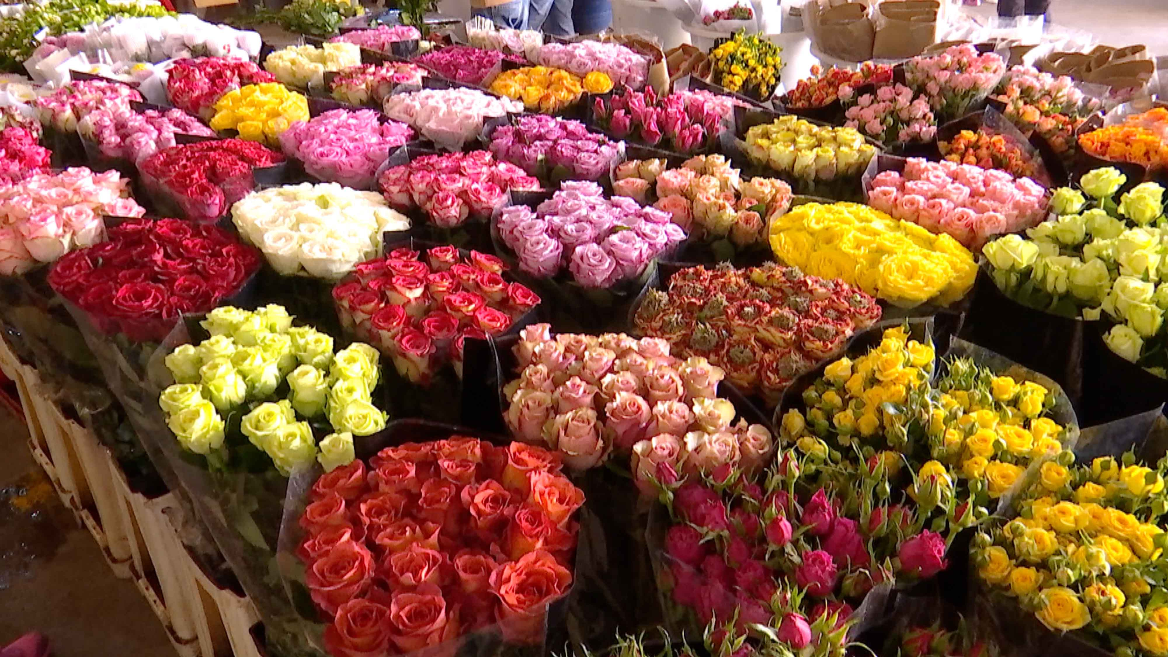 Эквадорская роза на Рижском рынке