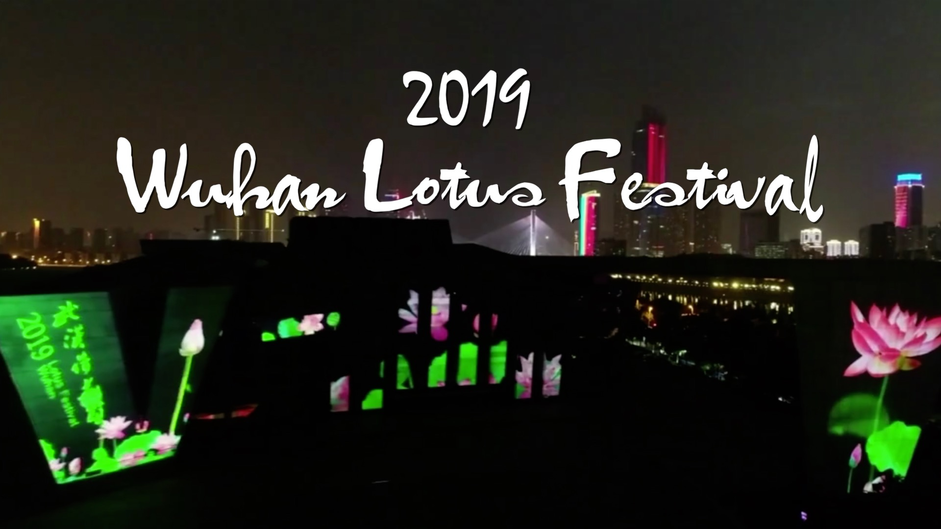 Lotus festival opens with stunning drone and light show in China CGTN