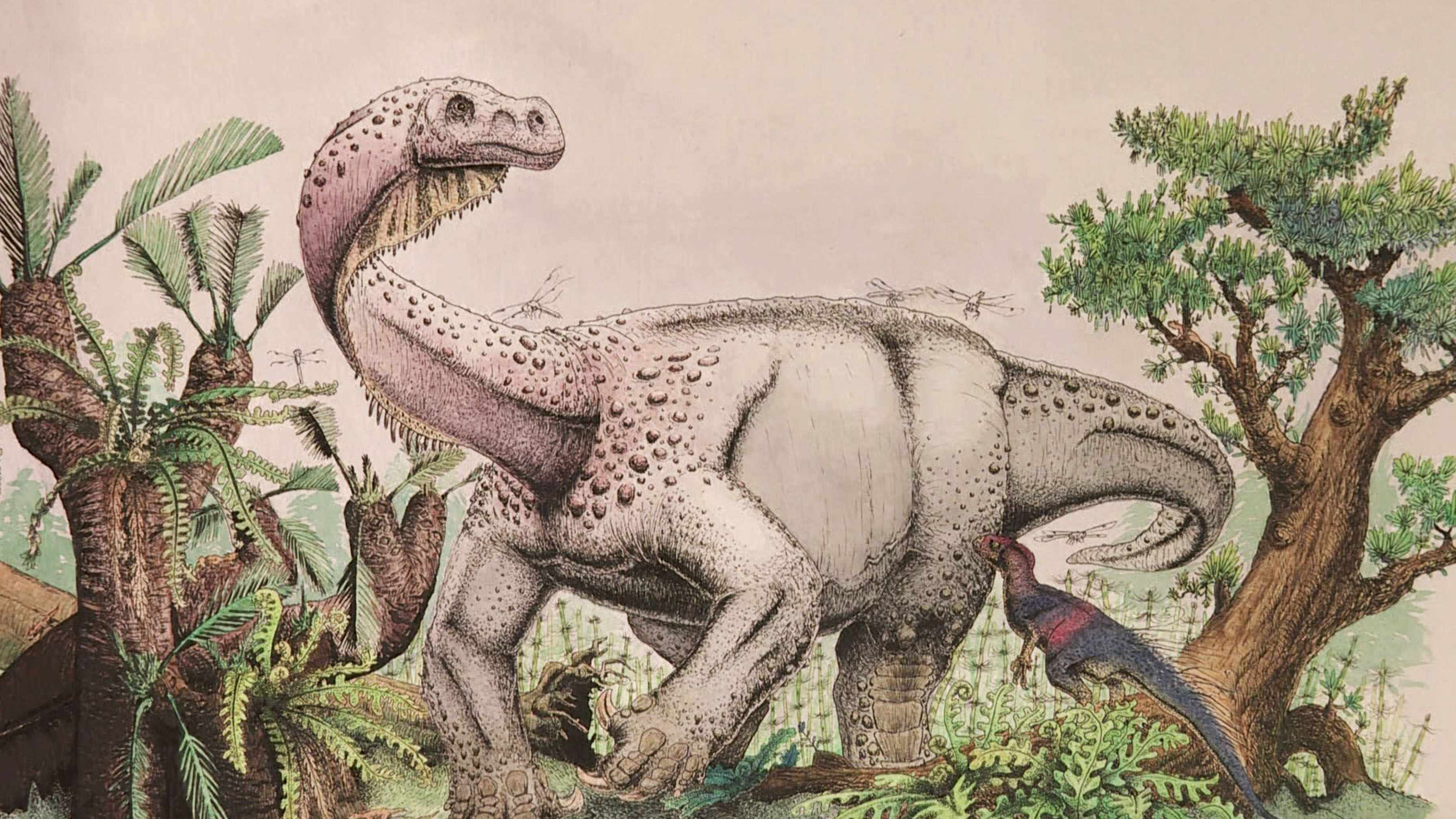 new large dinosaur discovered