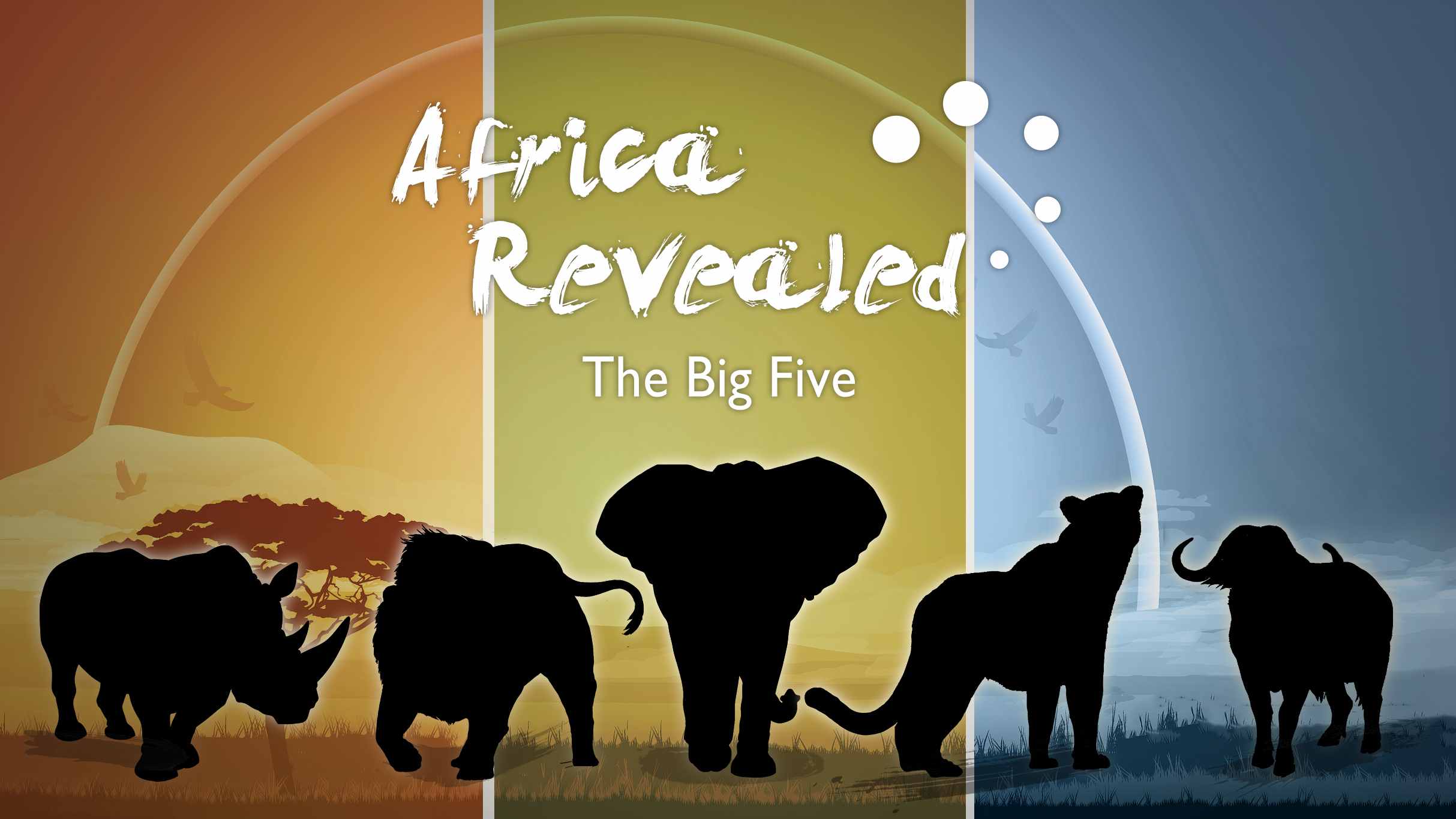 Africa Revealed: What are the big five? - CGTN