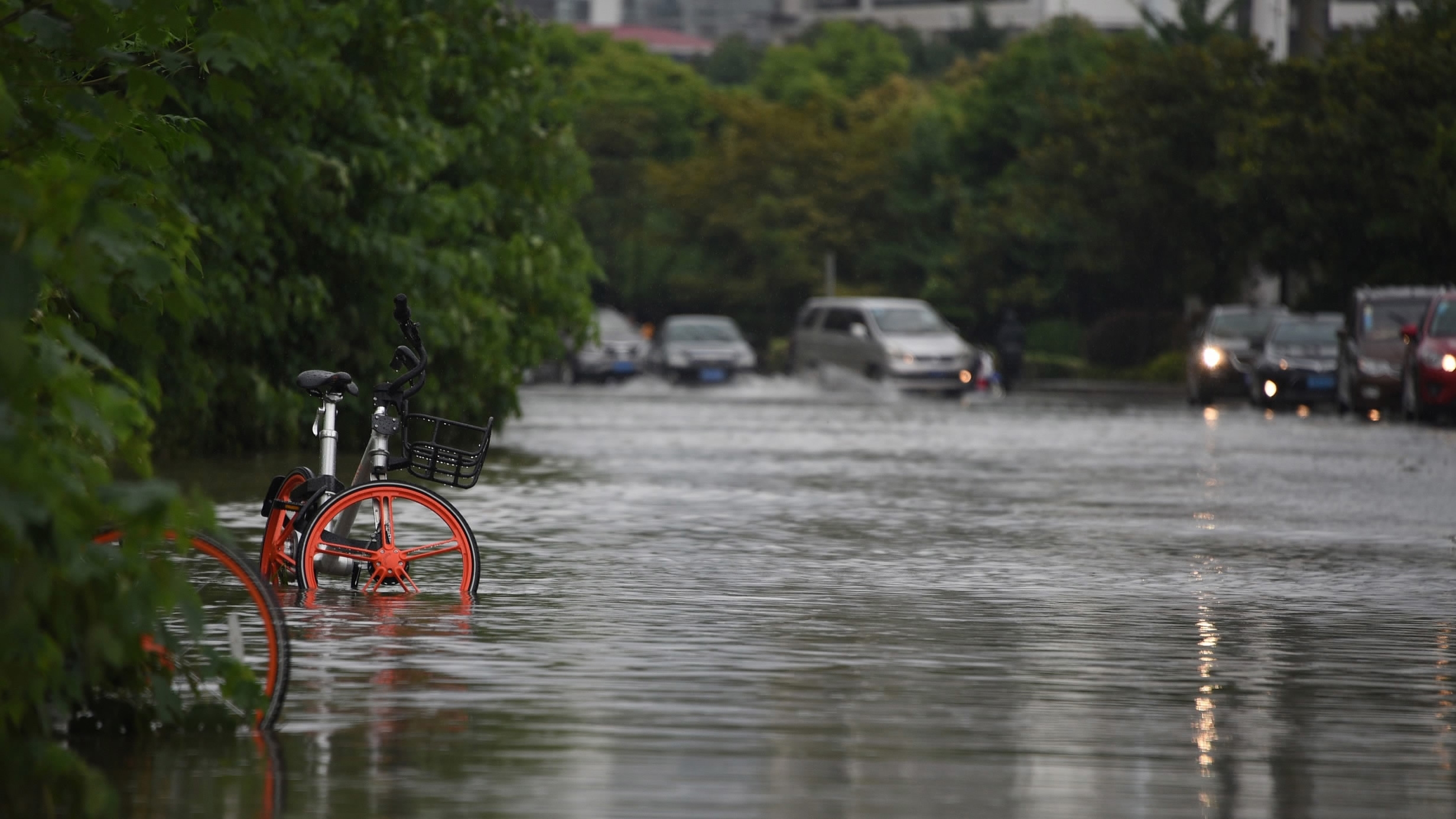 Torrential Rain. Heavy Rain. Rain in China.