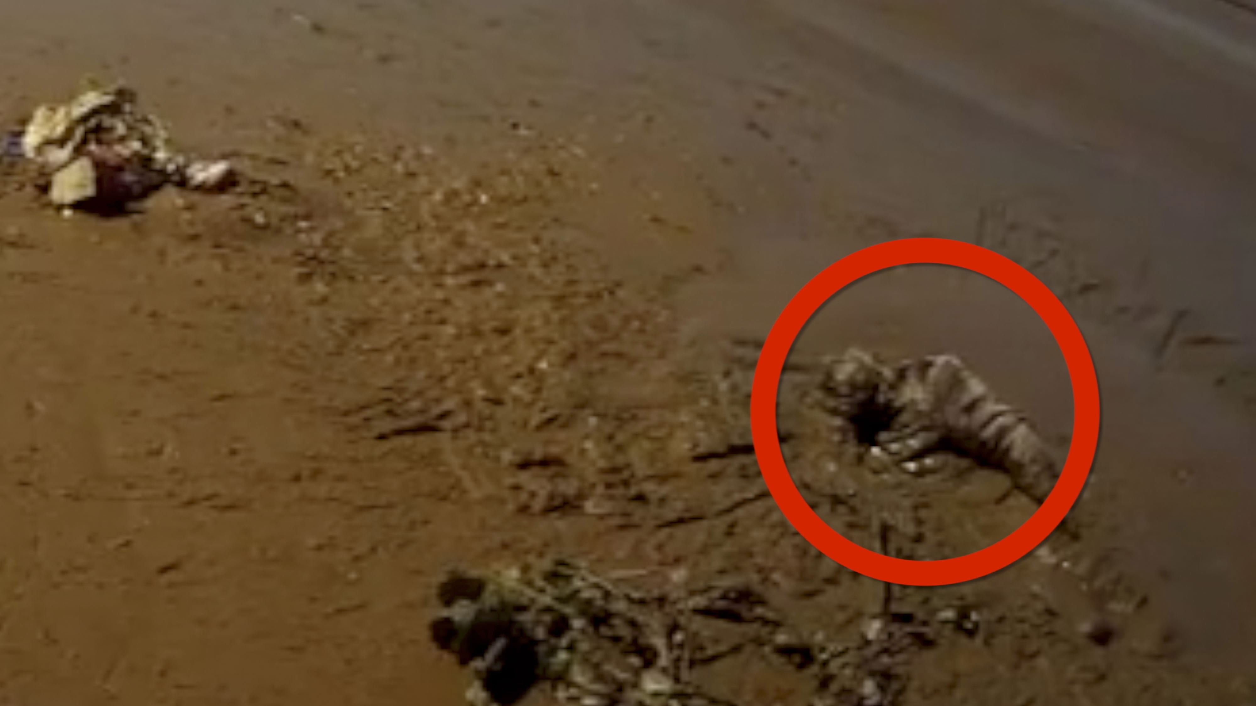 80-year-old woman stuck in mud for more than 20 hours finally rescued ...