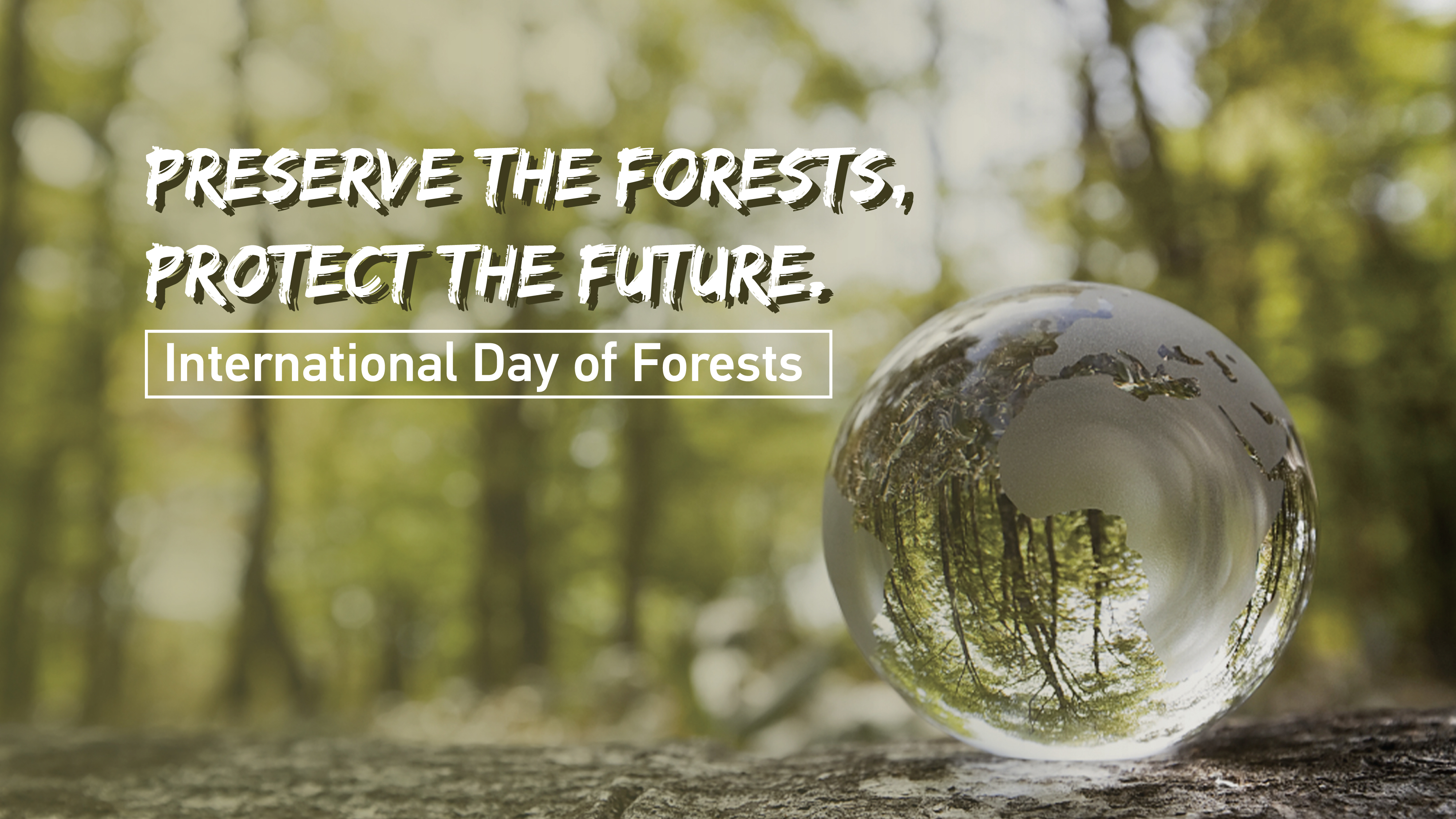 International Day of Forests Preserve the forests, protect the future