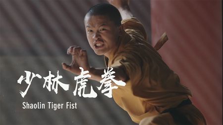 The Imitation Of The Tiger's Movements: Shaolin Tiger Fist - CGTN