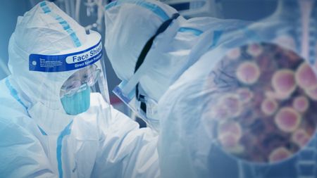 WHO spokesperson: Clear roadmap needed on fight against COVID-19