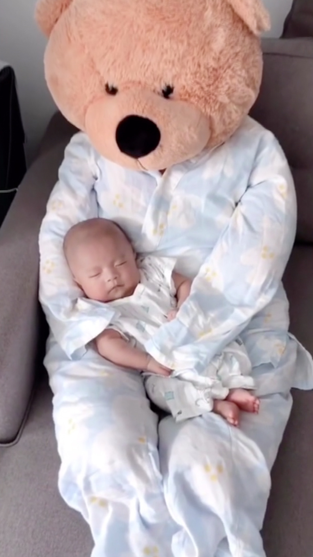 life size teddy bear suit