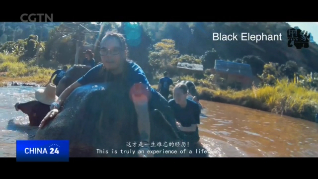 jpg
