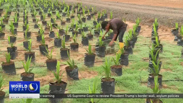 Malaysia Labor Issues: Forced labor allegations hit ...