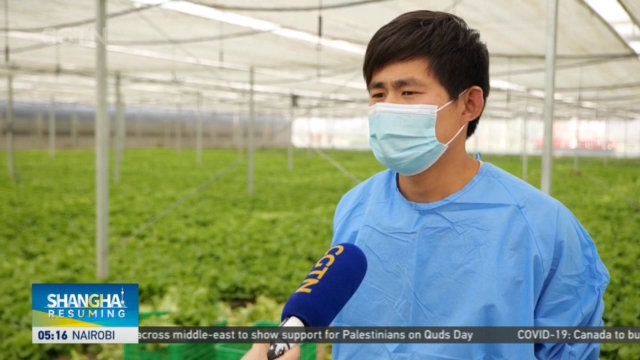Coronavirus Pandemic: Farmers in Shanghai's outskirts resume ...