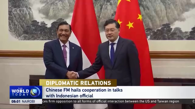Diplomatic Relations: Chinese FM hails cooperation in talks with ...