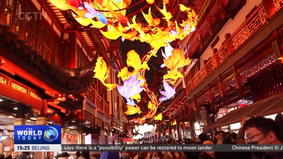 Shanghai Lantern Fair: Shanghai's Yuyuan Garden kicks off lantern fair ...