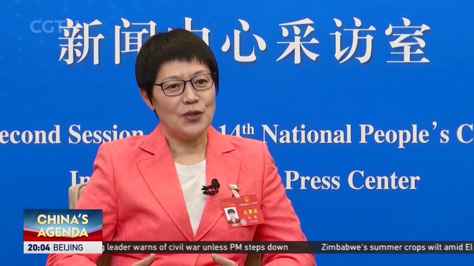 NPC & CPPCC 2024: NPC Deputy: Future of cross-Strait ties lies in ...